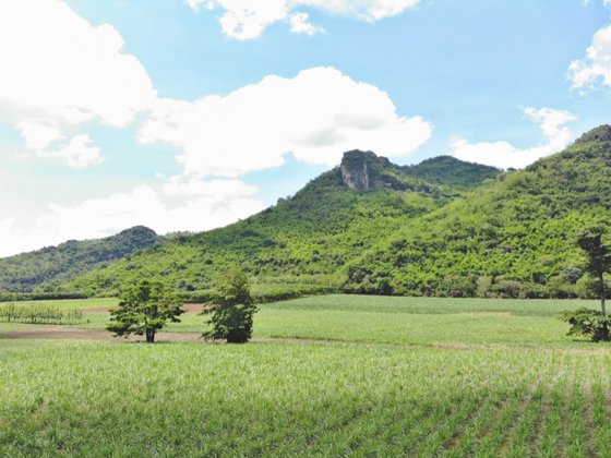 Die reizvolle Bergwelt von Khon San, Provinz Chaiyaphum, Thailand